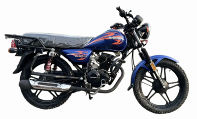Мотоцикл Regulmoto SK200-20 ПТС