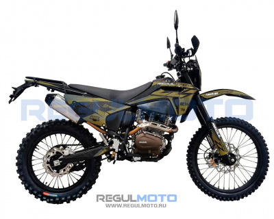 Мотоцикл Regulmoto ZZ PR 300 6 передач с ПТС