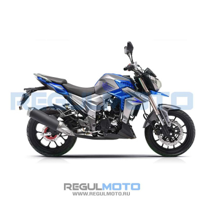 Мотоцикл Regulmoto T-Leopard 300 ПТС