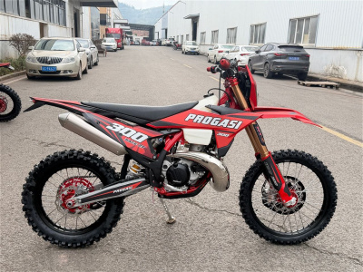 Эндуро кроссовый мотоцикл Progasi Race 2T