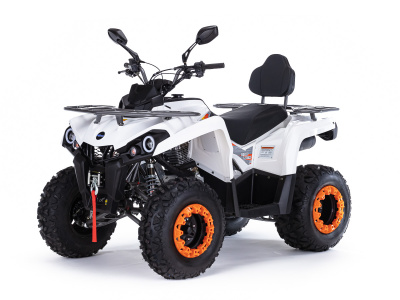 Бензиновый квадроцикл MOTAX ATV Grizlik 200 Ultra белый