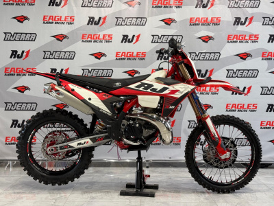 Эндуро кроссовый мотоцикл AJ 1 AX300-2T 