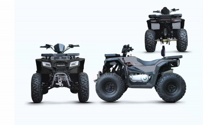 Бензиновый квадроцикл  Progasi RaceJumper MaxPower 200 серый