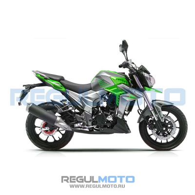 Мотоцикл Regulmoto T-Leopard 300 ПТС