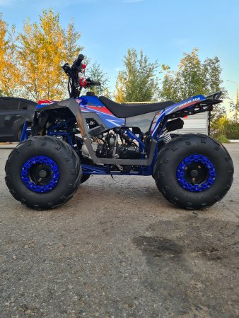 Детский бензиновый квадроцикл Motax GRIZLIK A110 черно-синий