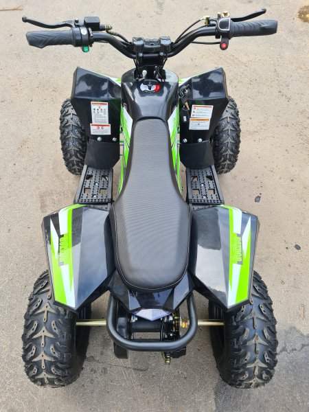 Детский электрический квадроцикл Motax Gekkon 1300W черно-зеленый