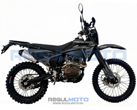 Мотоцикл Regulmoto ZZ PR 300 6 передач с ПТС
