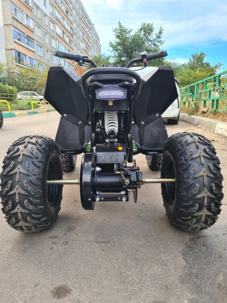 Детский электрический квадроцикл Motax Gekkon 1300W черно-зеленый