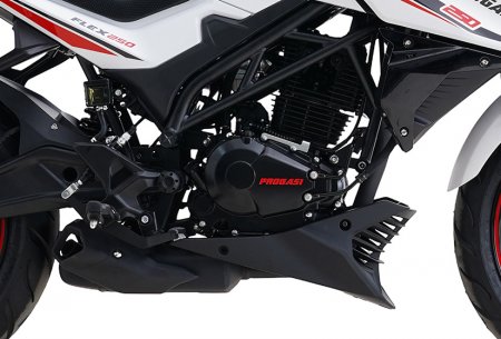 Мотоцикл PROGASI Flex 250