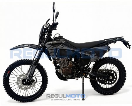 Мотоцикл Regulmoto ZZ PR 300 6 передач с ПТС
