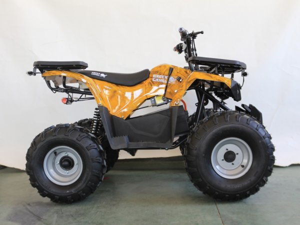 Детский электрический квадроцикл Green Camel Атакама T240 золотая осень