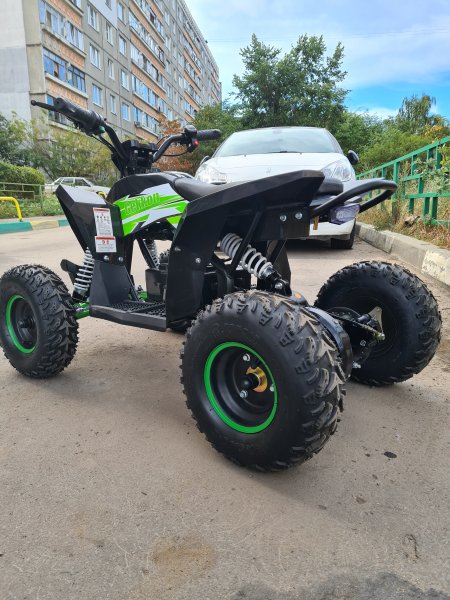 Детский электрический квадроцикл Motax Gekkon 1300W черно-зеленый