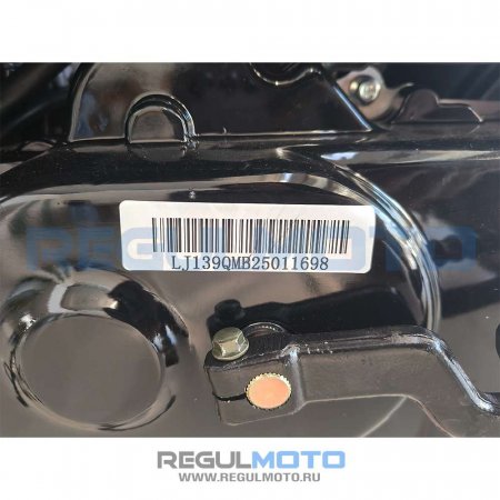 Скутер Regulmoto DIGITA 50 (LJ50QT-3L)