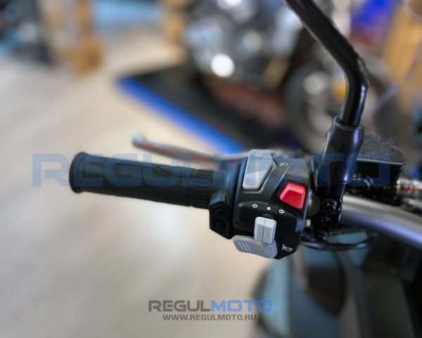 Скутер Regulmoto XDV ADVENTURE 300CC в комплекте с кофрами (LJ300T-18) EFI c ПТС