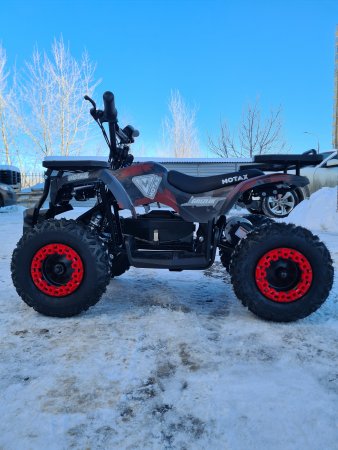 Детский электрический квадроцикл Motax Grizlik Mini E1000 красный камуфляж