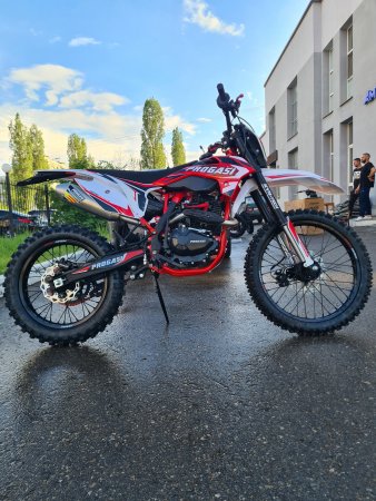 Эндуро кроссовый мотоцикл Progasi Super Max 300 PRO красный
