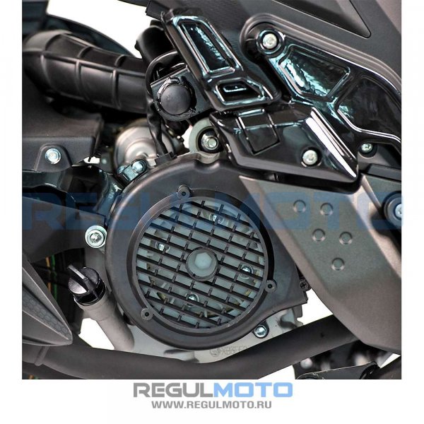 Скутер Regulmoto BWX (LJ-3) 175 c ПТС