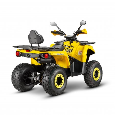 Бензиновый квадроцикл Mikilon Gladiator F200 Lux ПСМ желтый