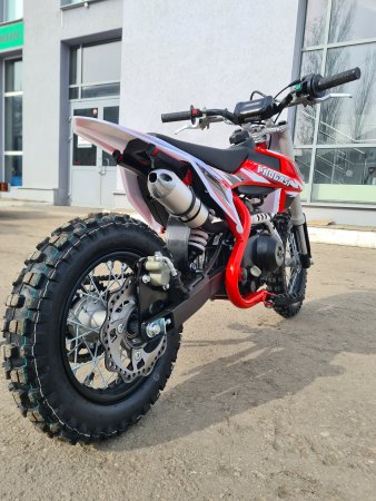 Питбайк Progasi Kids Power 110 - 12/10 красный