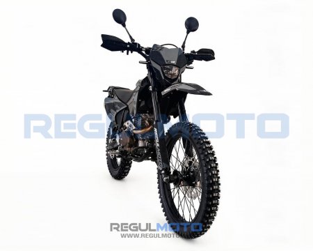 Мотоцикл Regulmoto ZZ PR 300 6 передач с ПТС