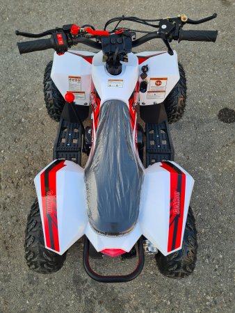 Детский бензиновый квадроцикл Motax Gekkon 90cc бело-красный
