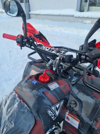 Детский бензиновый квадроцикл Motax ATV Grizlik Premium 125cc (AB) красный камуфляж