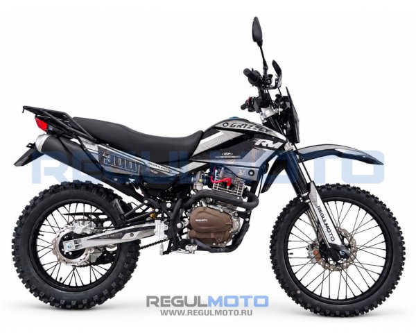 Мотоцикл Regulmoto Grizzly PR300PRO с ПТС