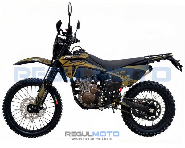 Мотоцикл Regulmoto ZZ PR 300 6 передач с ПТС