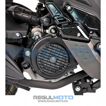Скутер Regulmoto BWX (LJ-3) 175 c ПТС